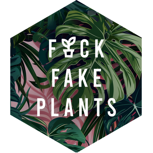 Pink Monstera Sticker